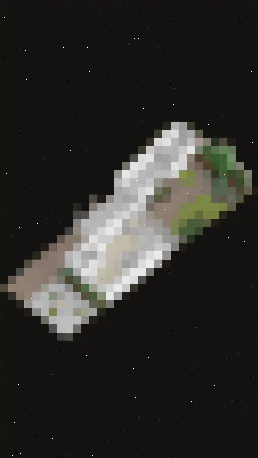 van Rechterenlaan 20 Grave thumbnail 43
