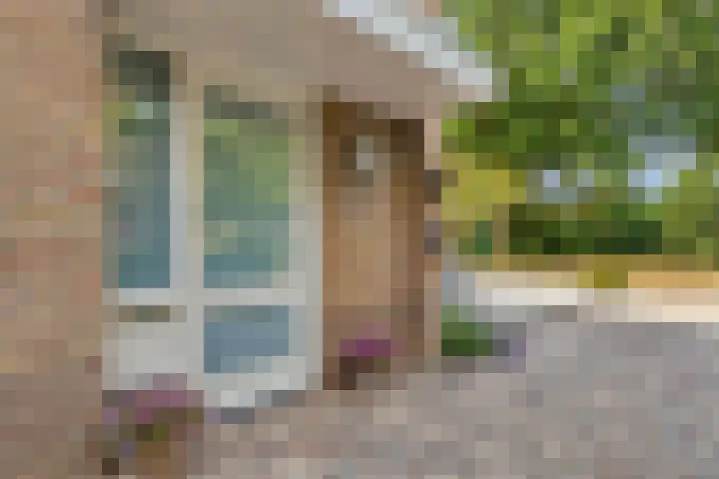 van Rechterenlaan 20 Grave thumbnail 8
