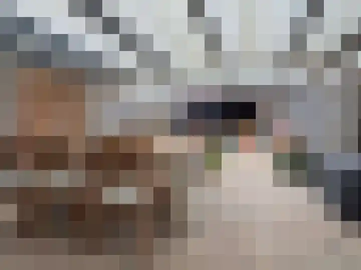 van Rechterenlaan 29 Coevorden thumbnail 14
