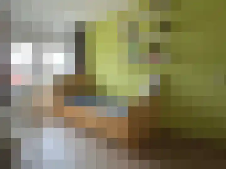 van Rechterenlaan 29 Coevorden thumbnail 19