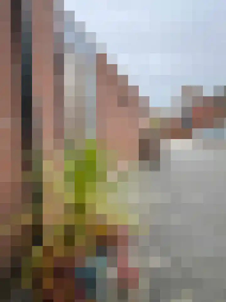 van Rechterenlaan 29 Coevorden thumbnail 8
