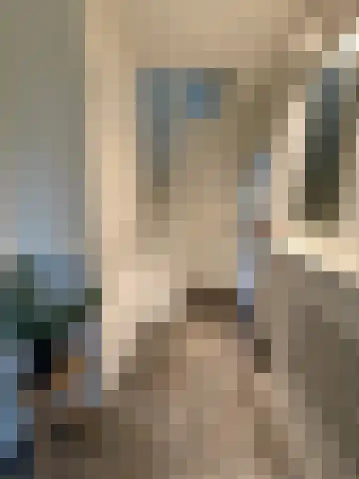 van Rechterenlaan 55 Coevorden thumbnail 4