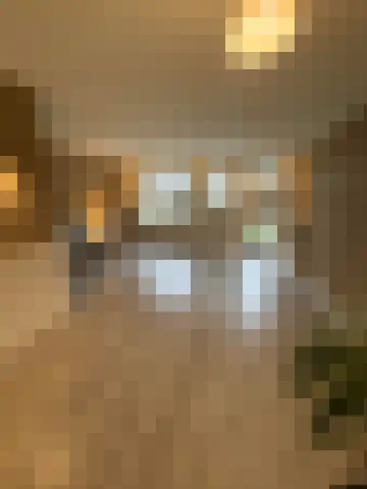 van Rechterenlaan 55 Coevorden thumbnail 6