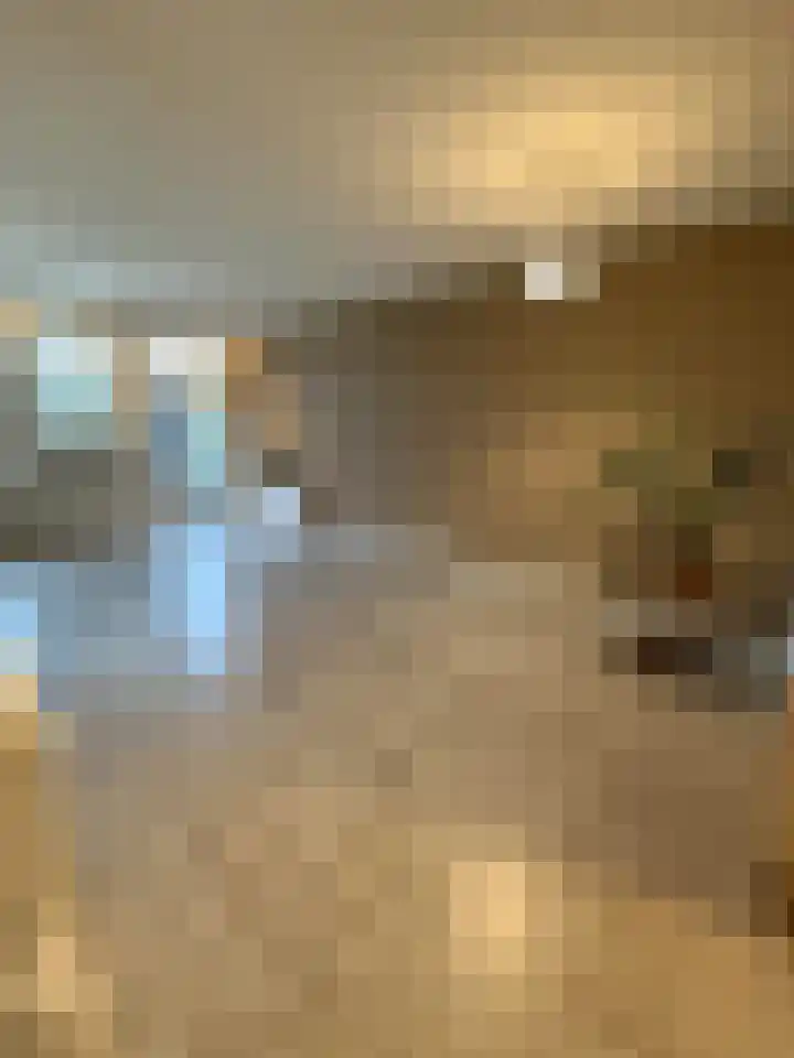 van Rechterenlaan 55 Coevorden thumbnail 7