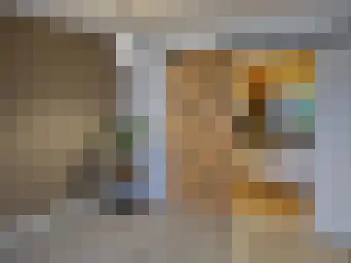 van Rechterenlaan 55 Coevorden thumbnail 8