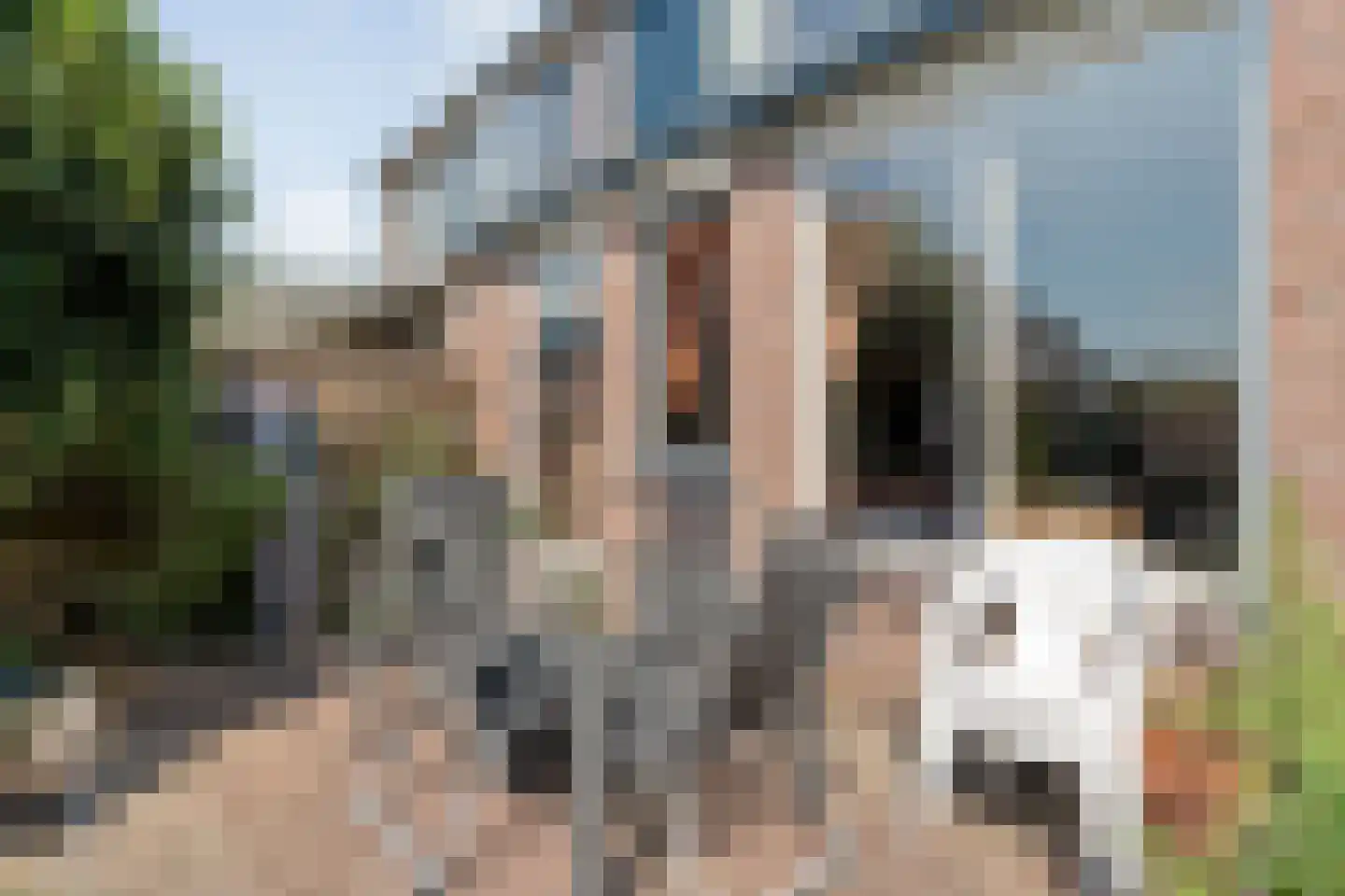 van Rechterenlaan 59 Coevorden thumbnail 29