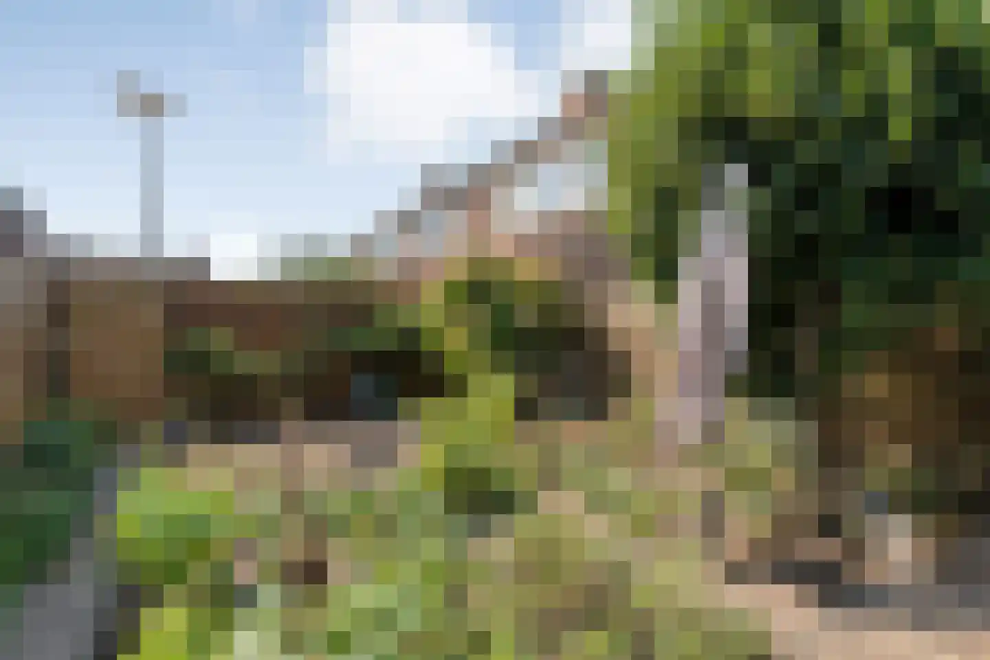 van Rechterenlaan 59 Coevorden thumbnail 30