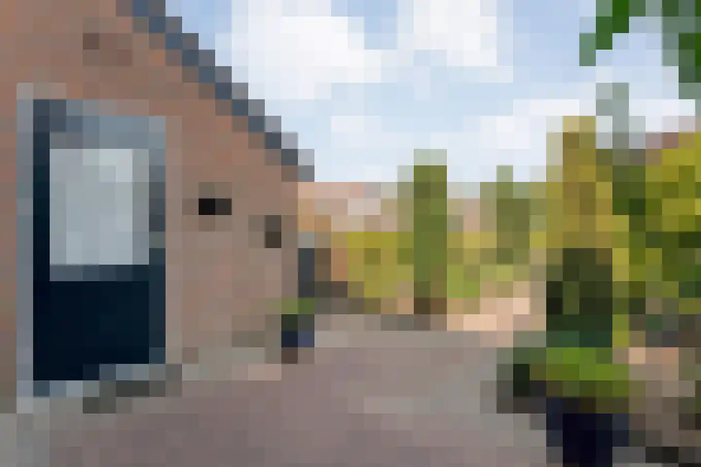 van Rechterenlaan 59 Coevorden thumbnail 5