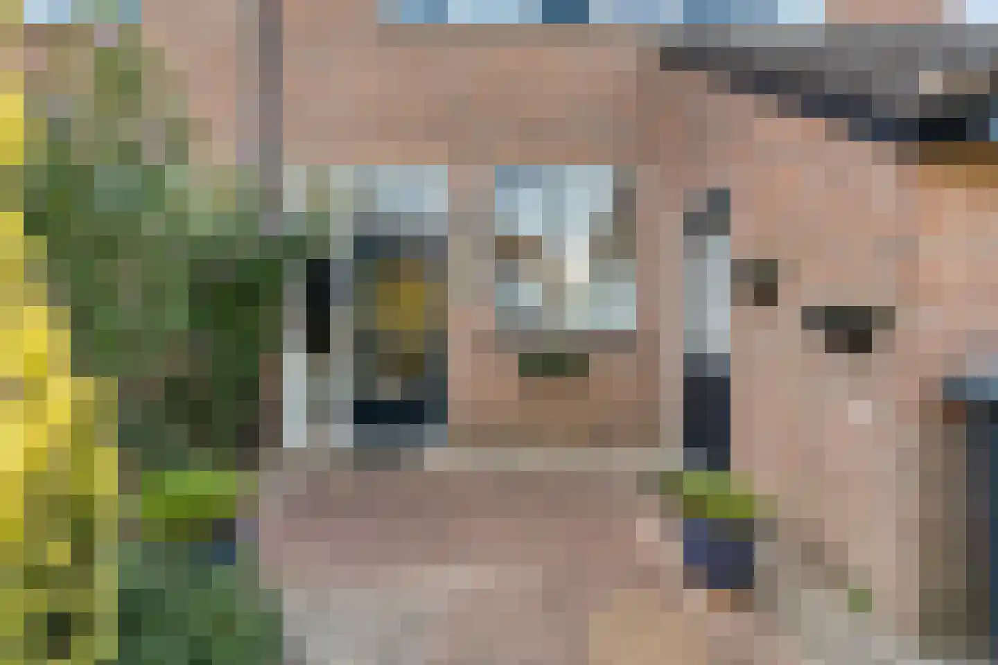 van Rechterenlaan 59 Coevorden thumbnail 6
