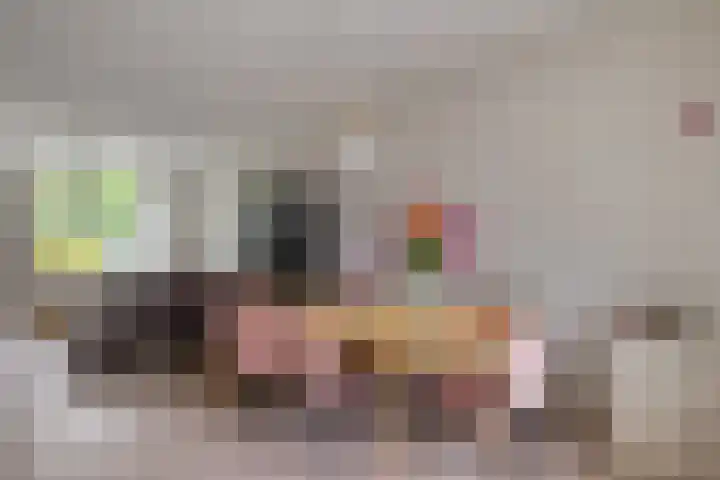 van Rechterenlaan 72 Coevorden thumbnail 13