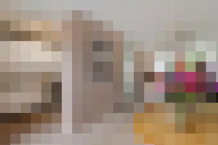 van Rechterenlaan 72 Coevorden thumbnail 14