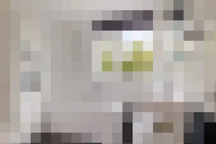 van Rechterenlaan 72 Coevorden thumbnail 21
