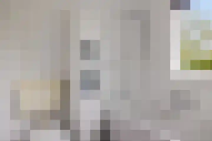 van Rechterenlaan 72 Coevorden thumbnail 23