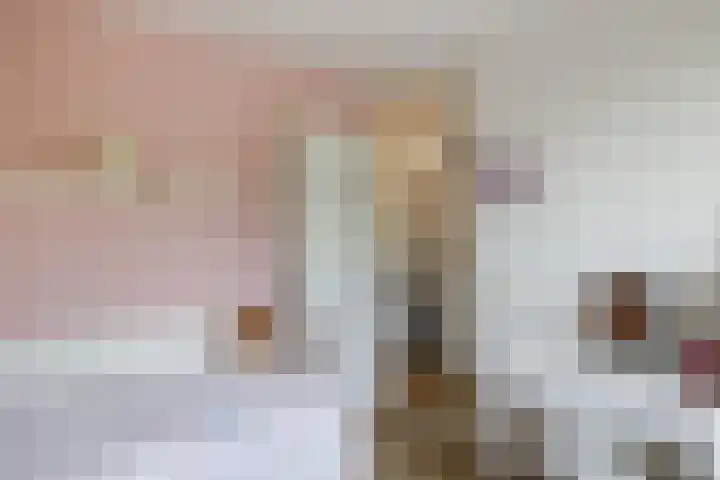 van Rechterenlaan 72 Coevorden thumbnail 25