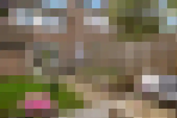 van Rechterenlaan 72 Coevorden thumbnail 32