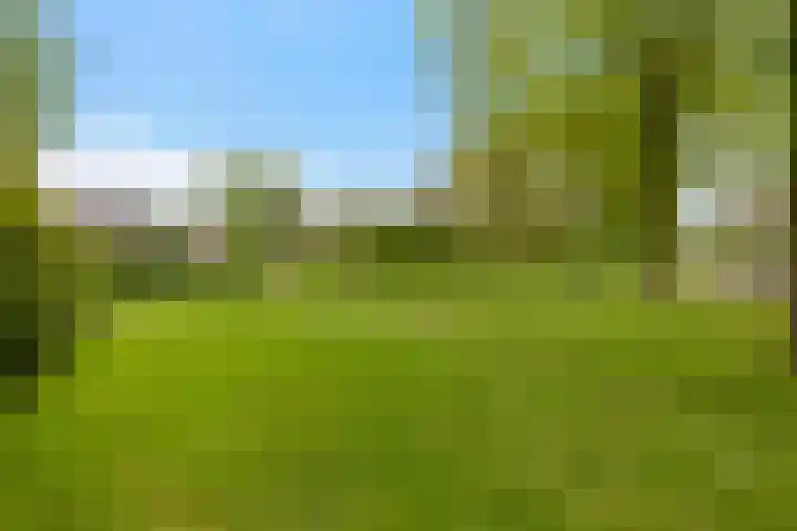 van Rechterenlaan 72 Coevorden thumbnail 34