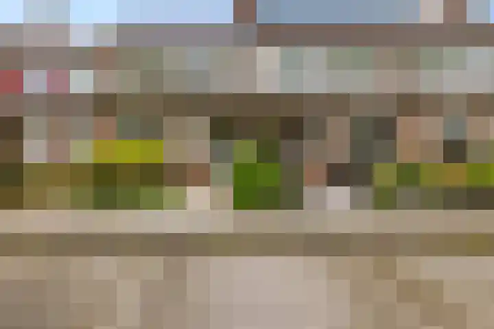 van Rechterenlaan 72 Coevorden thumbnail 39