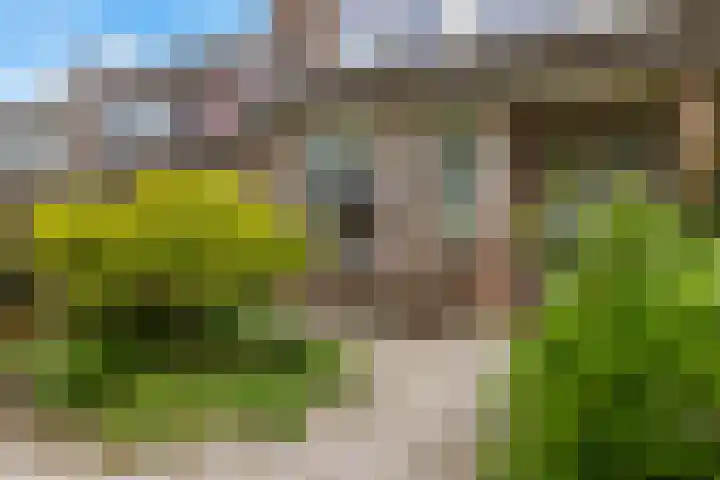 van Rechterenlaan 72 Coevorden thumbnail 4