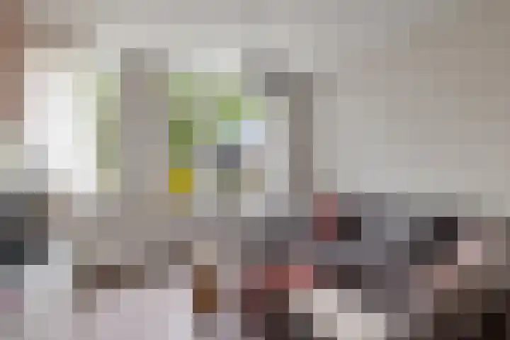 van Rechterenlaan 72 Coevorden thumbnail 9