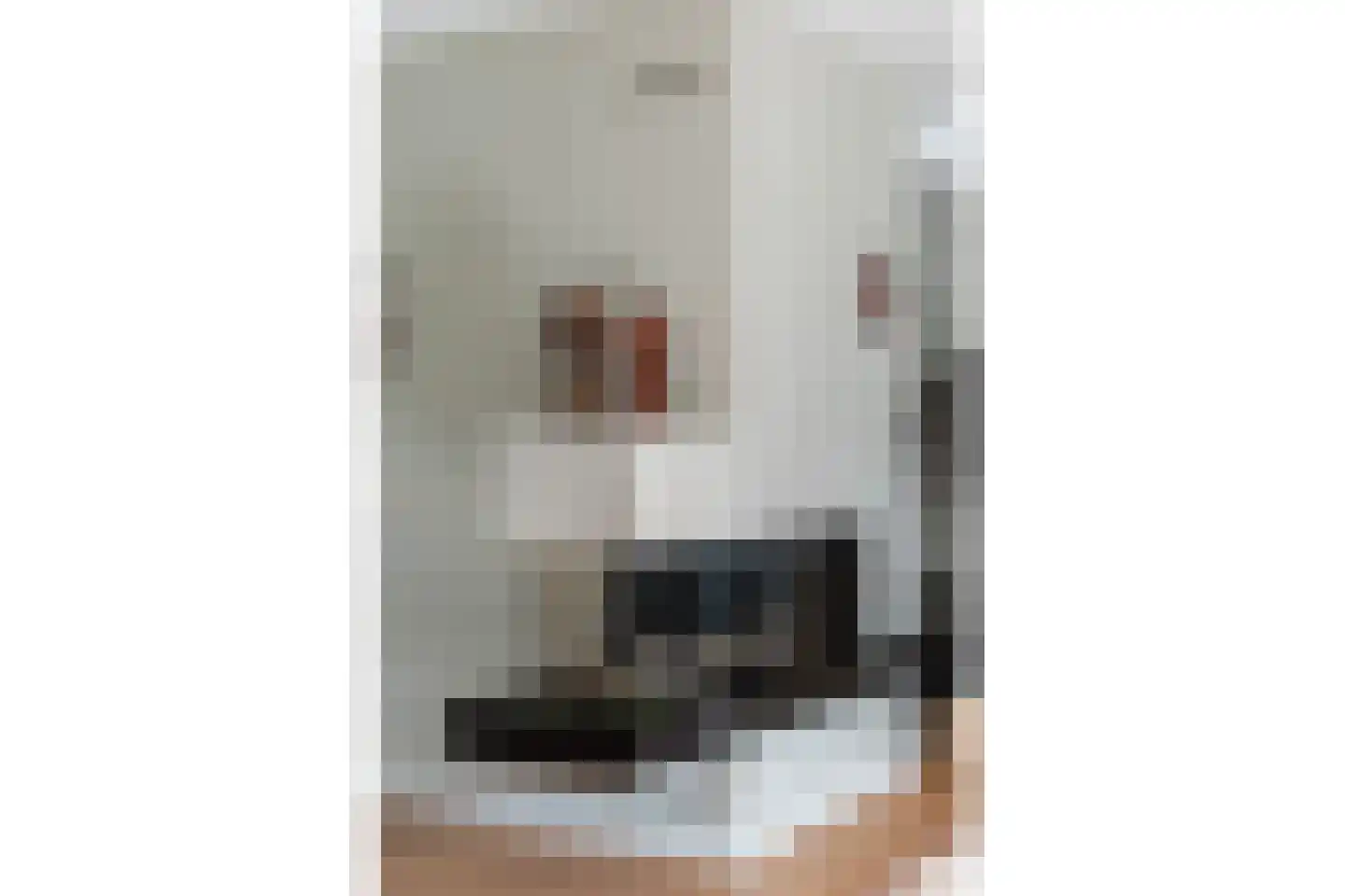 Van Rechterenmarke 14 Zwolle thumbnail 10