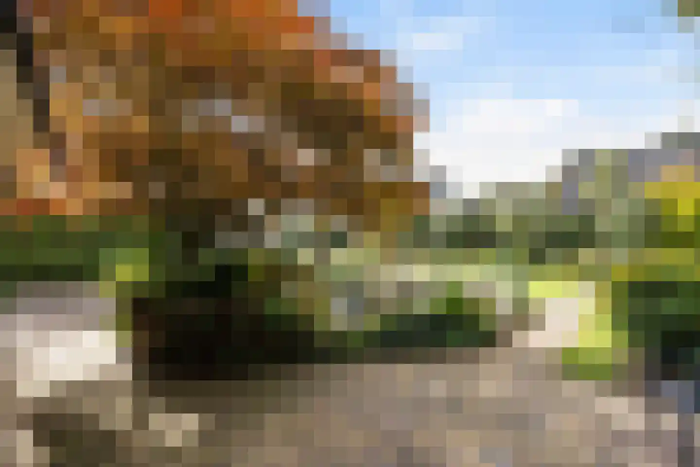 Van Rechterenmarke 14 Zwolle thumbnail 15