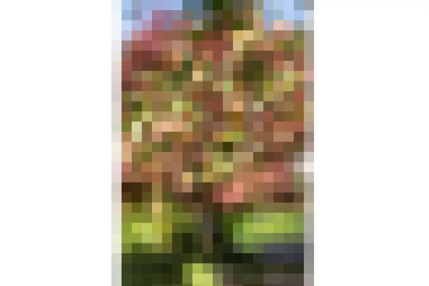 Van Rechterenmarke 14 Zwolle thumbnail 17