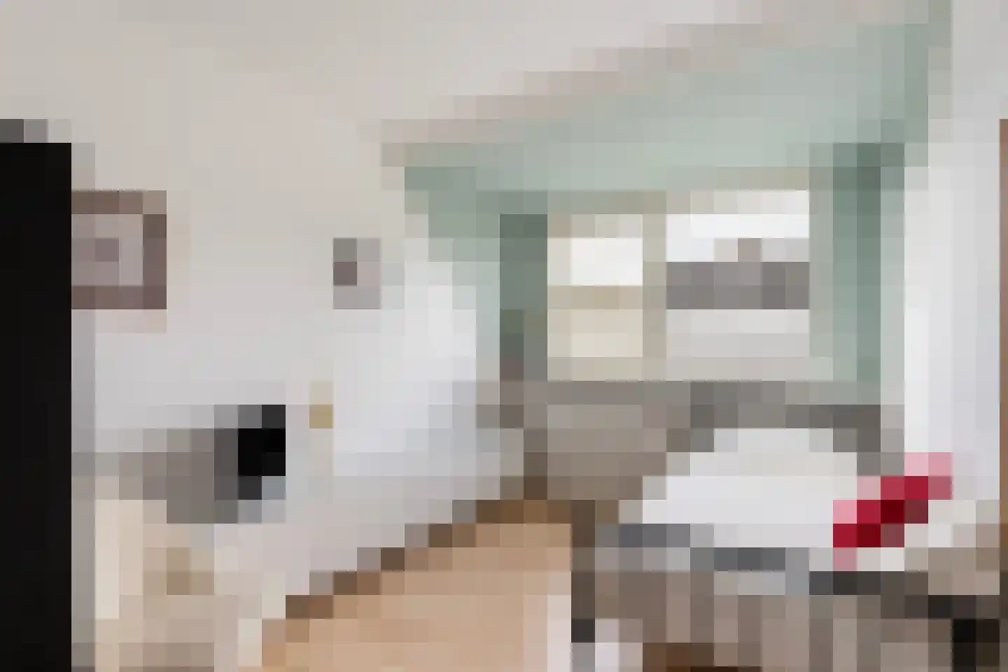 Van Rechterenmarke 14 Zwolle thumbnail 29
