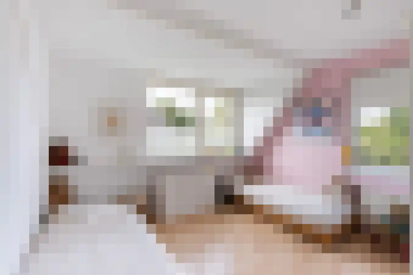 Van Rechterenmarke 14 Zwolle thumbnail 30