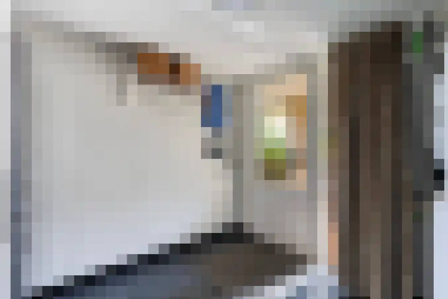Van Rechterenmarke 14 Zwolle thumbnail 35