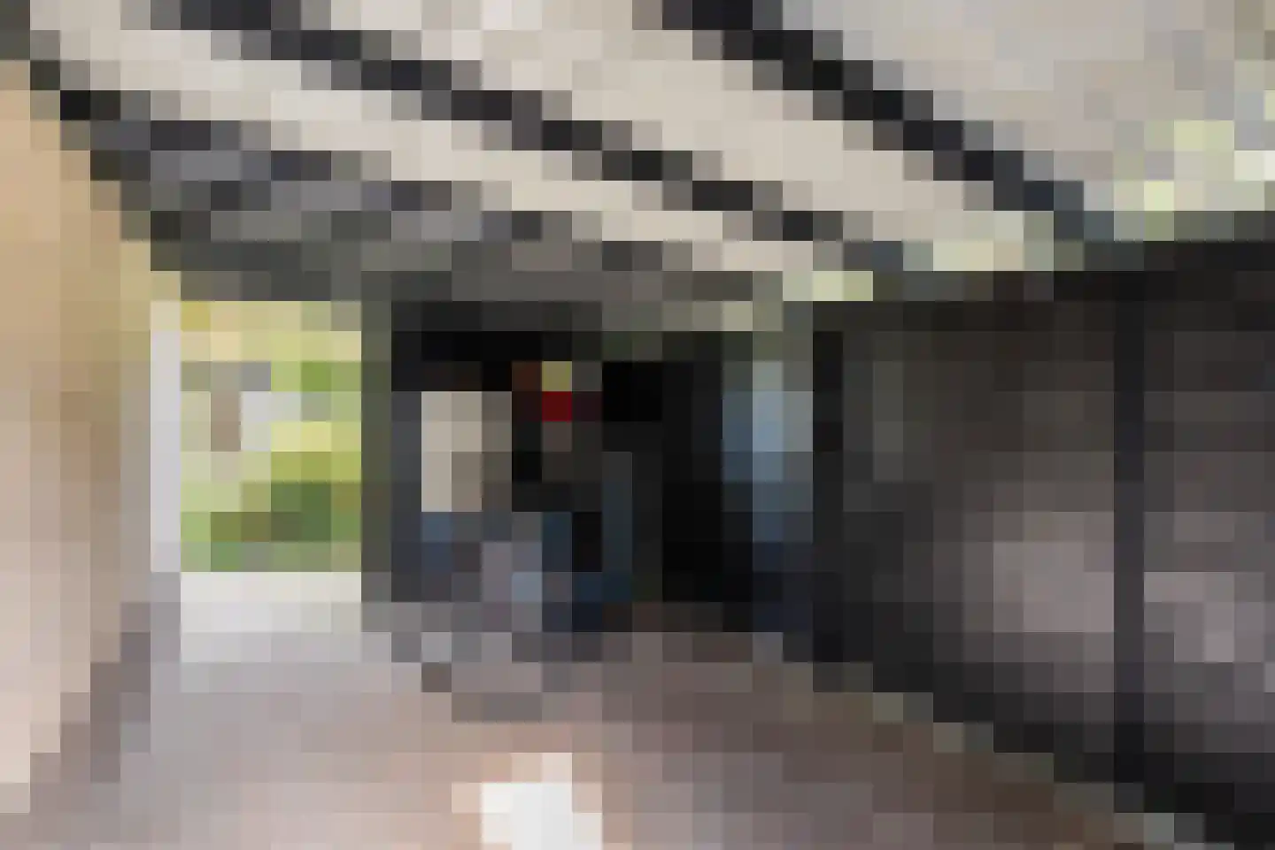 Van Rechterenmarke 14 Zwolle thumbnail 36