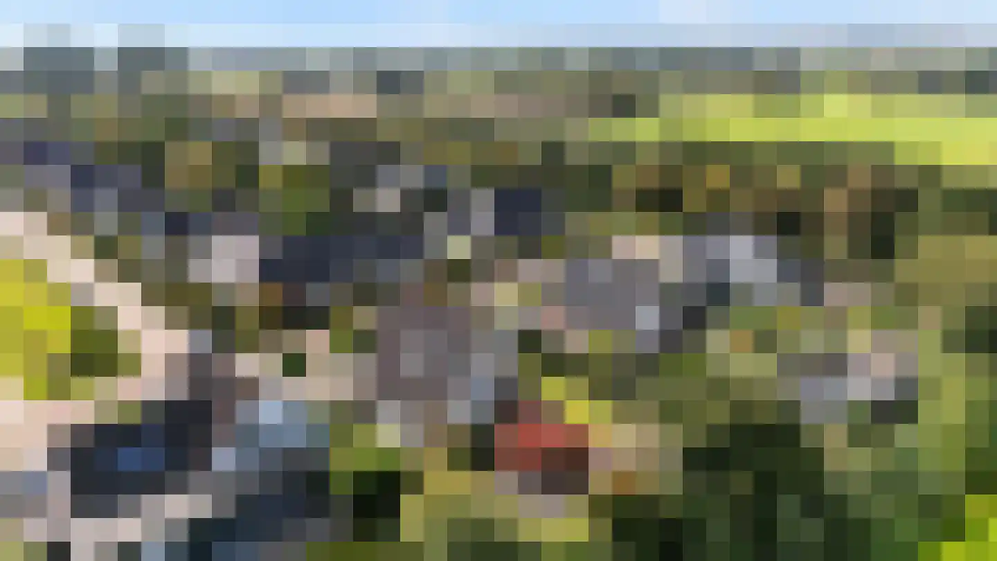 Van Rechterenmarke 14 Zwolle thumbnail 37