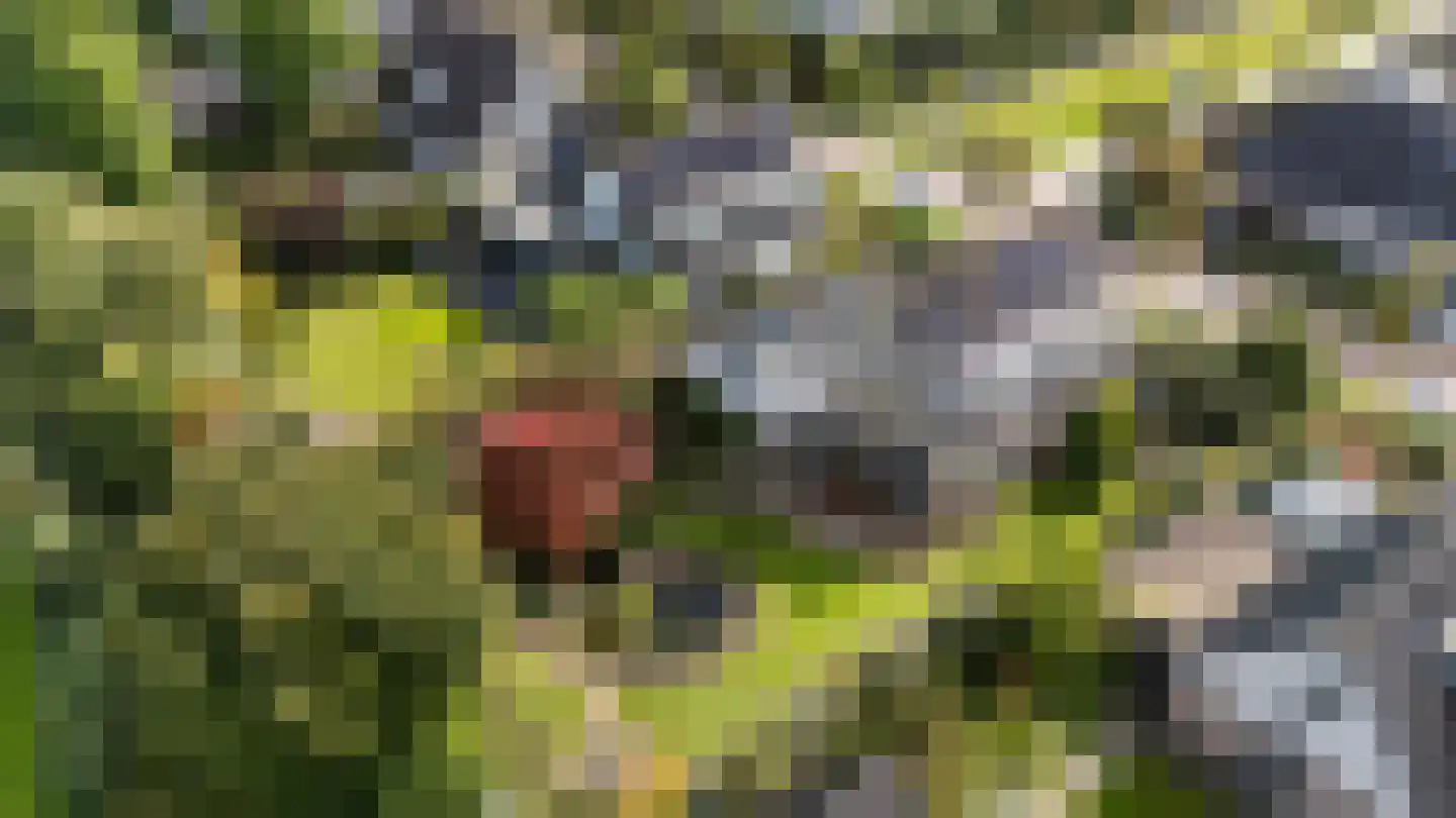 Van Rechterenmarke 14 Zwolle thumbnail 38