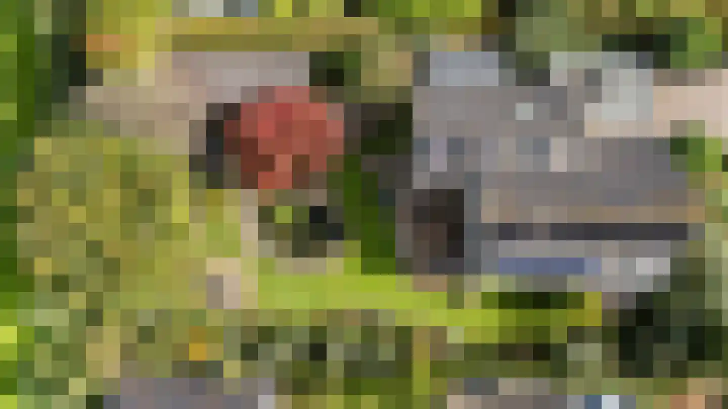 Van Rechterenmarke 14 Zwolle thumbnail 39