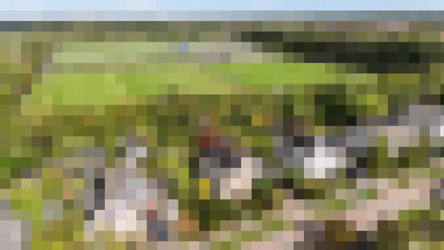 Van Rechterenmarke 14 Zwolle thumbnail 40