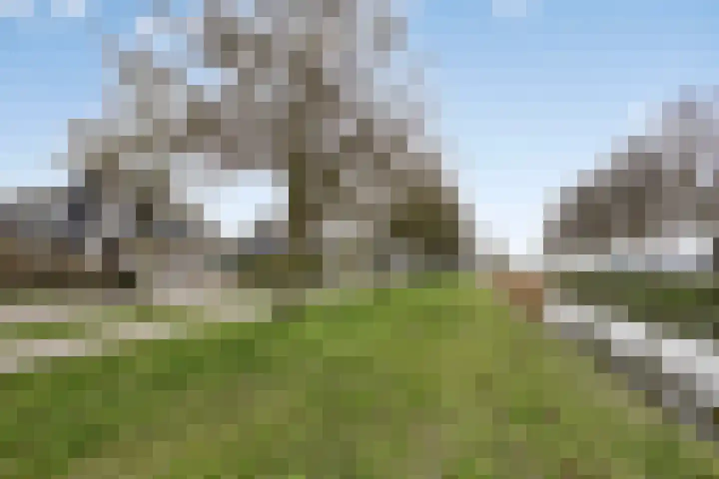 Van Rechterenmarke 17 Zwolle thumbnail 10