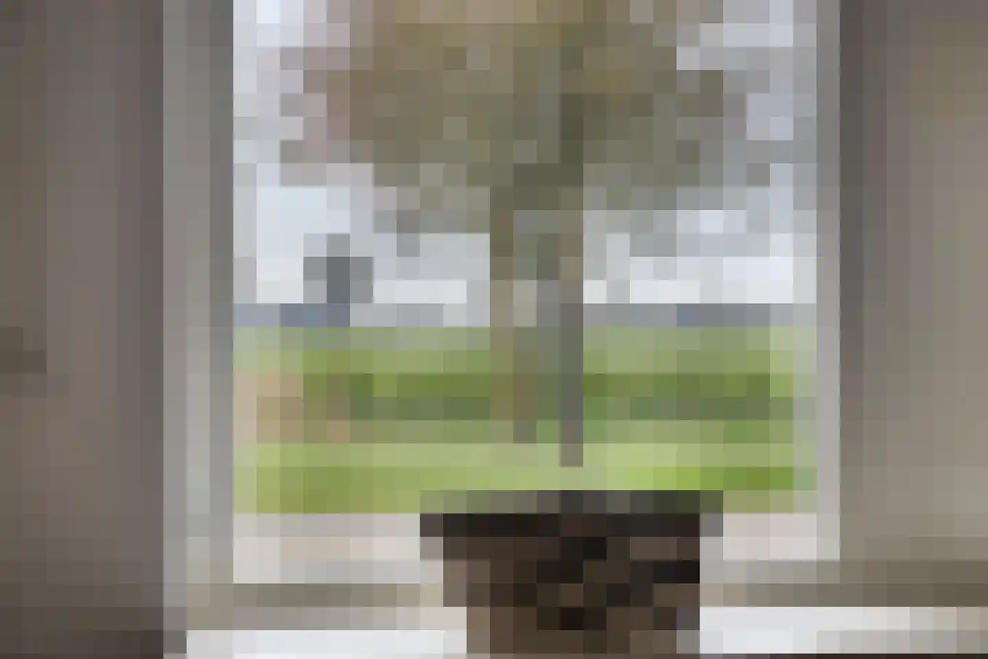 Van Rechterenmarke 17 Zwolle thumbnail 15