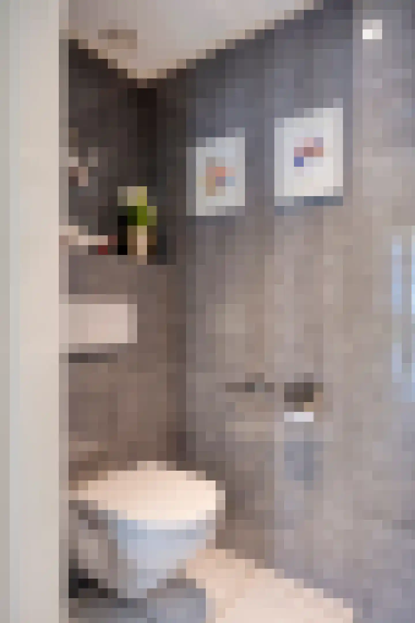 Van Rechterenmarke 17 Zwolle thumbnail 17