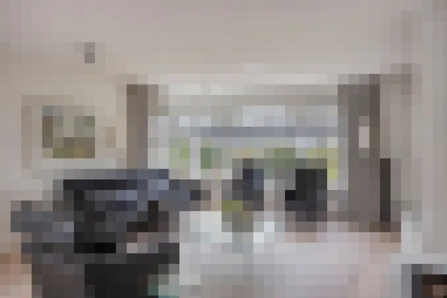 Van Rechterenmarke 17 Zwolle thumbnail 21