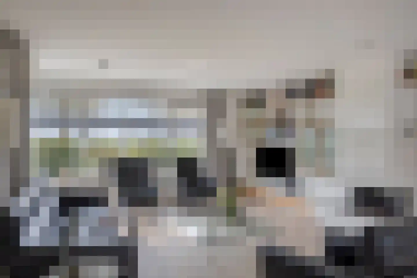 Van Rechterenmarke 17 Zwolle thumbnail 22