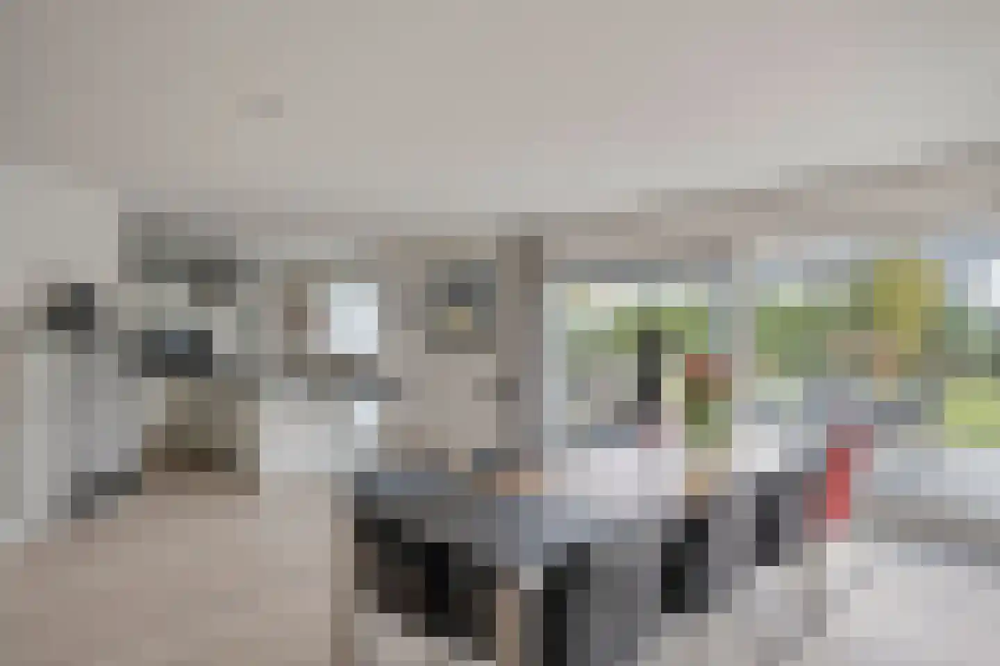 Van Rechterenmarke 17 Zwolle thumbnail 25