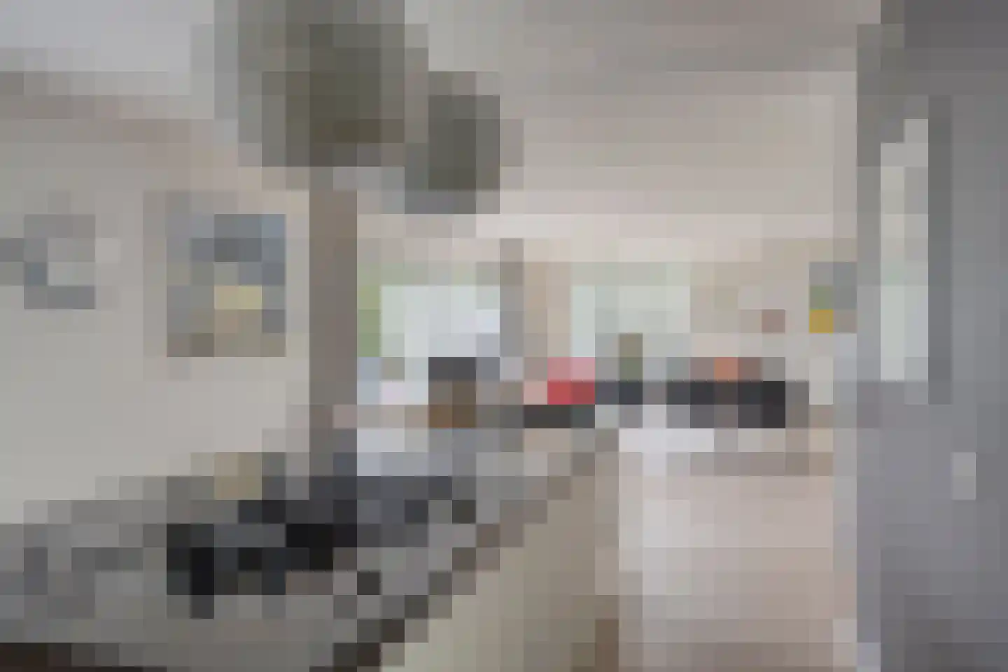 Van Rechterenmarke 17 Zwolle thumbnail 28