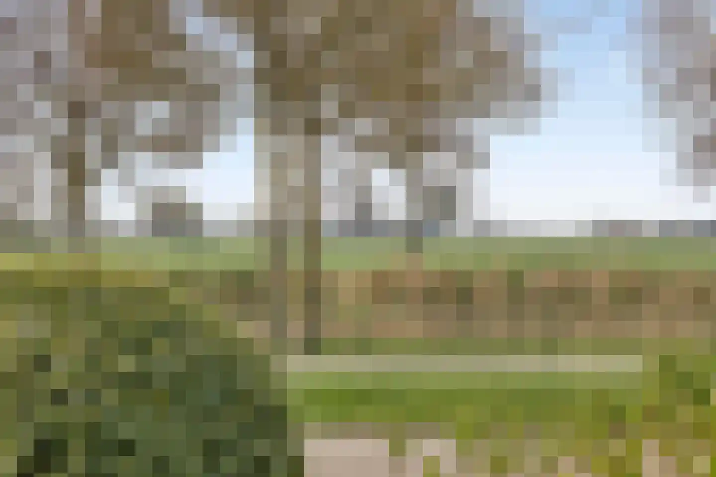 Van Rechterenmarke 17 Zwolle thumbnail 58