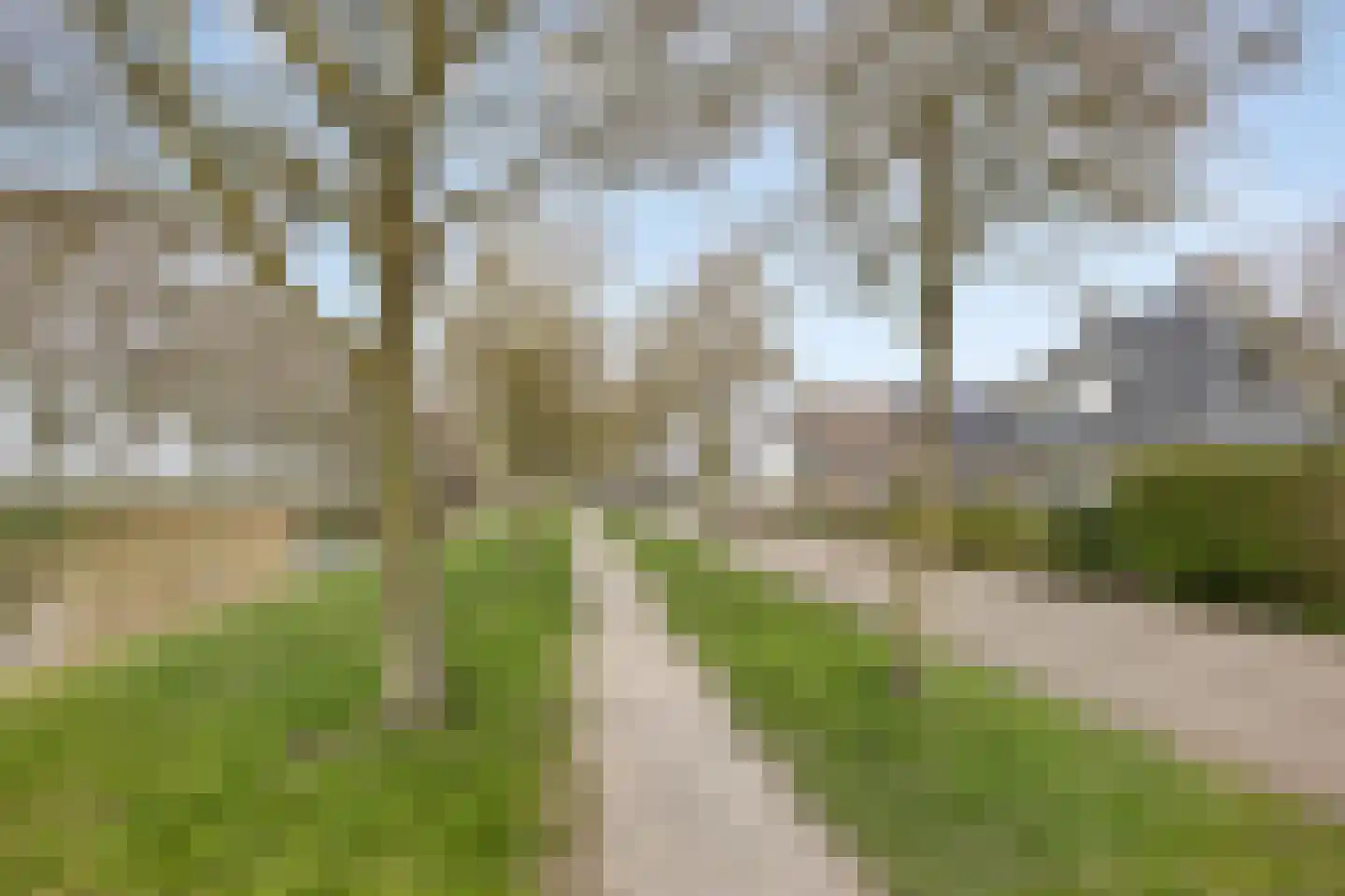 Van Rechterenmarke 17 Zwolle thumbnail 7