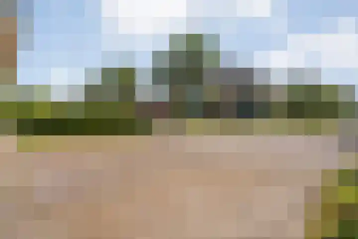 Van Rechterenmarke 18 Zwolle thumbnail 10