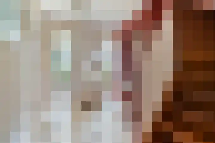 Van Rechterenmarke 18 Zwolle thumbnail 12