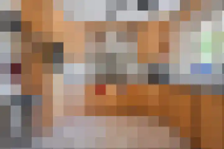 Van Rechterenmarke 18 Zwolle thumbnail 21
