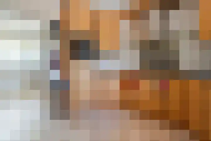 Van Rechterenmarke 18 Zwolle thumbnail 23
