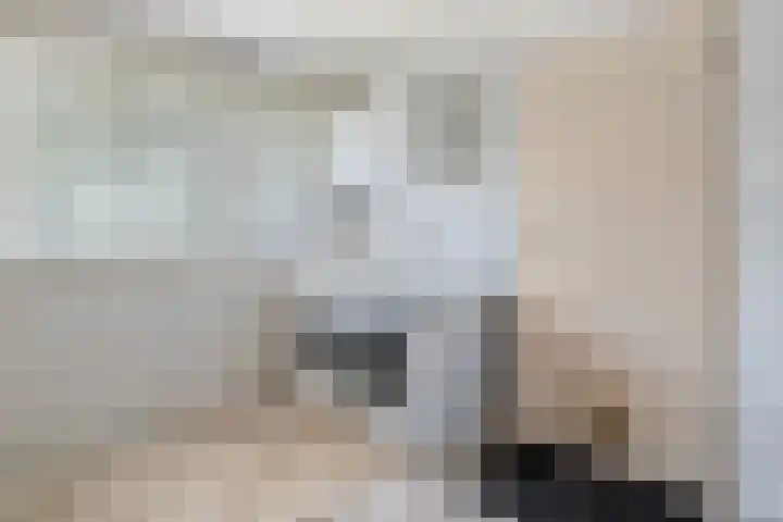 Van Rechterenmarke 18 Zwolle thumbnail 25