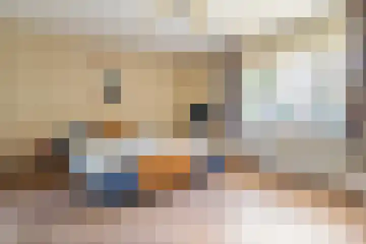 Van Rechterenmarke 18 Zwolle thumbnail 29