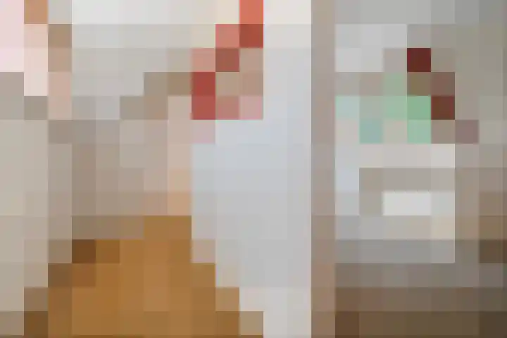 Van Rechterenmarke 18 Zwolle thumbnail 33